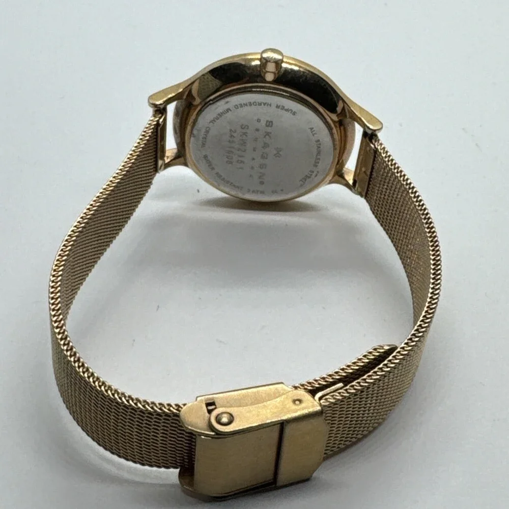 Skagen SKW2151 Womens Stainless Steel Mesh Analog Dial Quartz Wrist Watch AEA280